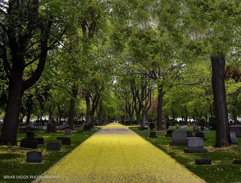 Springtime in the cemetery by Briar Diggs Photography