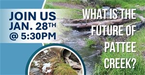 What is the future of Pattee Creek?