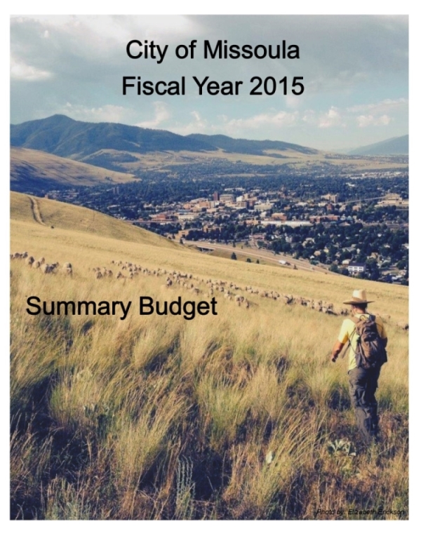 Web FY15 Budget Cover