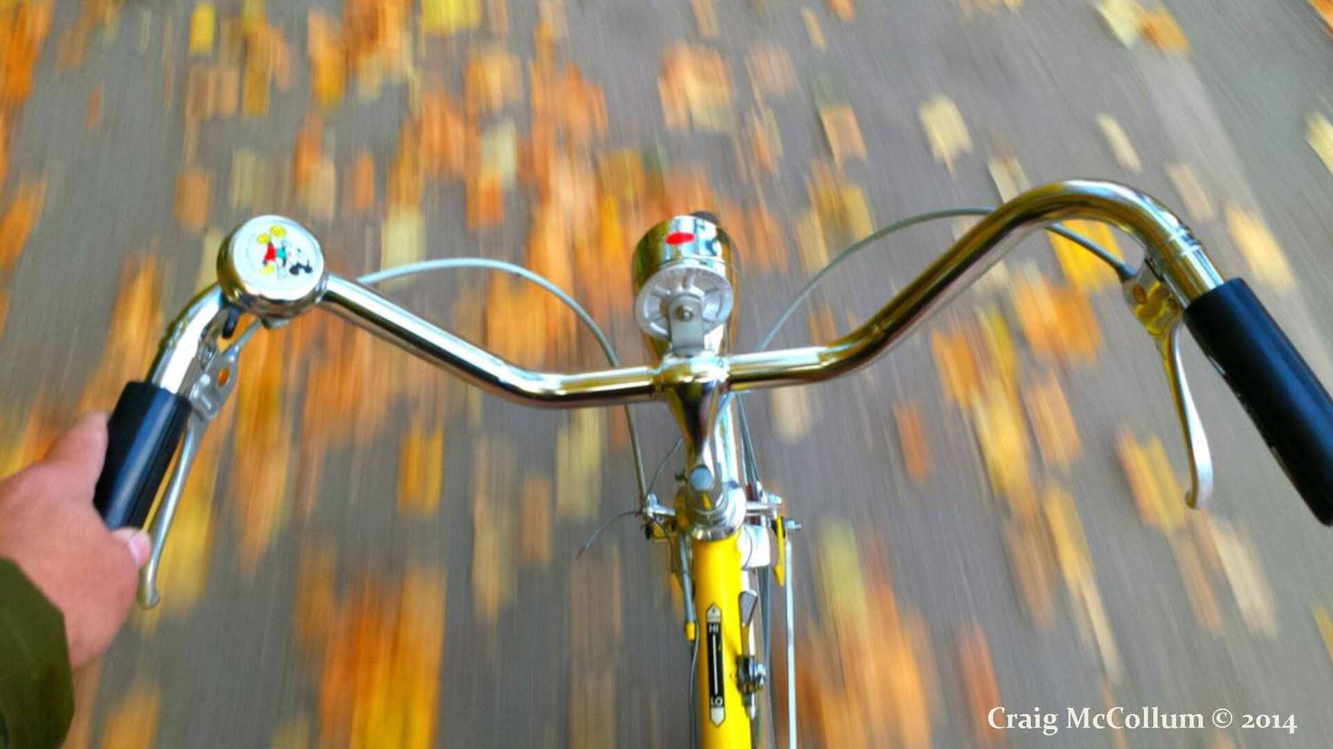 BicycleinFall_CraigMcCollum