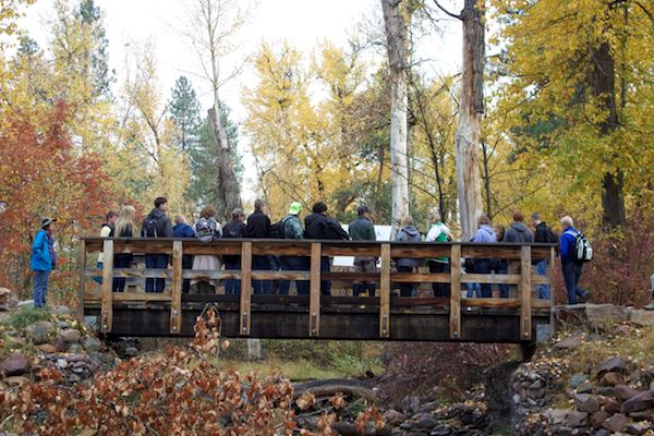 Students on a wooden bridge