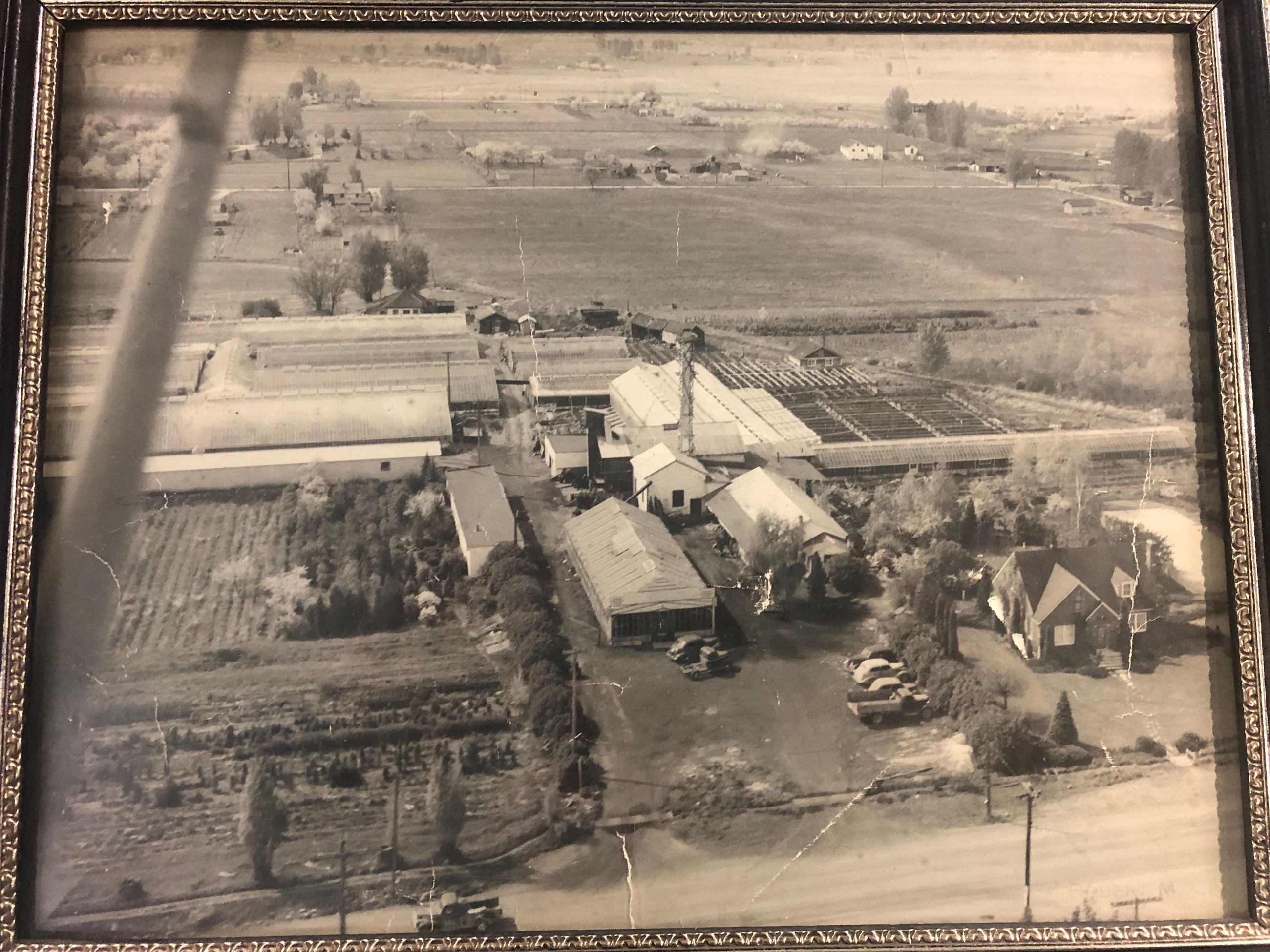 Historic Caras Nursery Aerial