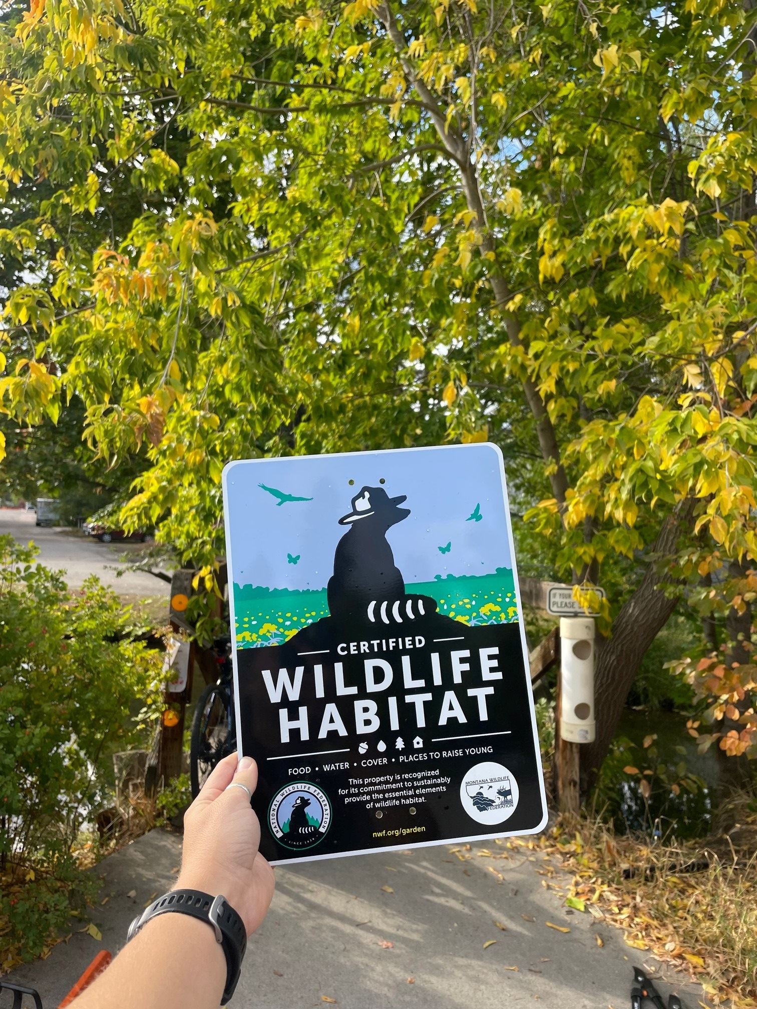 Pocket Park Clean-Up 2022