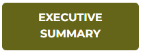 Executive Summary Button